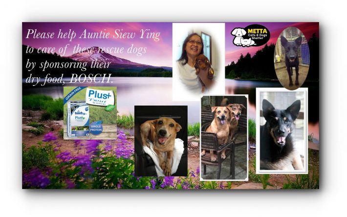 11336981_487582594750760_8822324346763372201_o