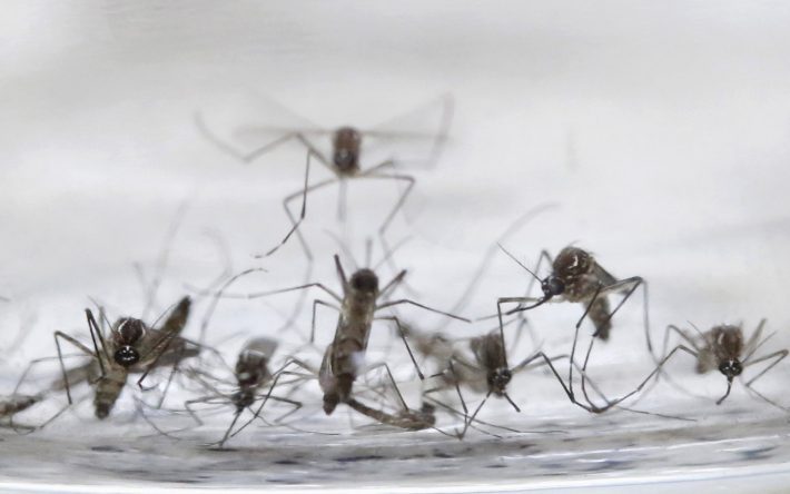 201602032326433f310-710x444