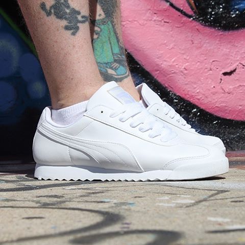 13704244_1769314523347015_1093407729_n