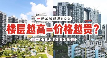 HDB 高楼层真的比较贵吗？值不值得买？一起来看看价格趋势📈🏡