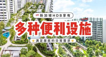 🇸🇬HDB也能享有丰富的娱乐设施！完全不输私人公寓😌